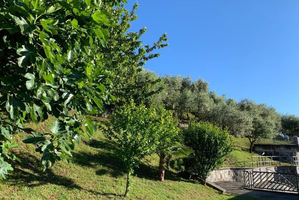 Cozy House On Iseo Lake Fonteno Екстер'єр фото